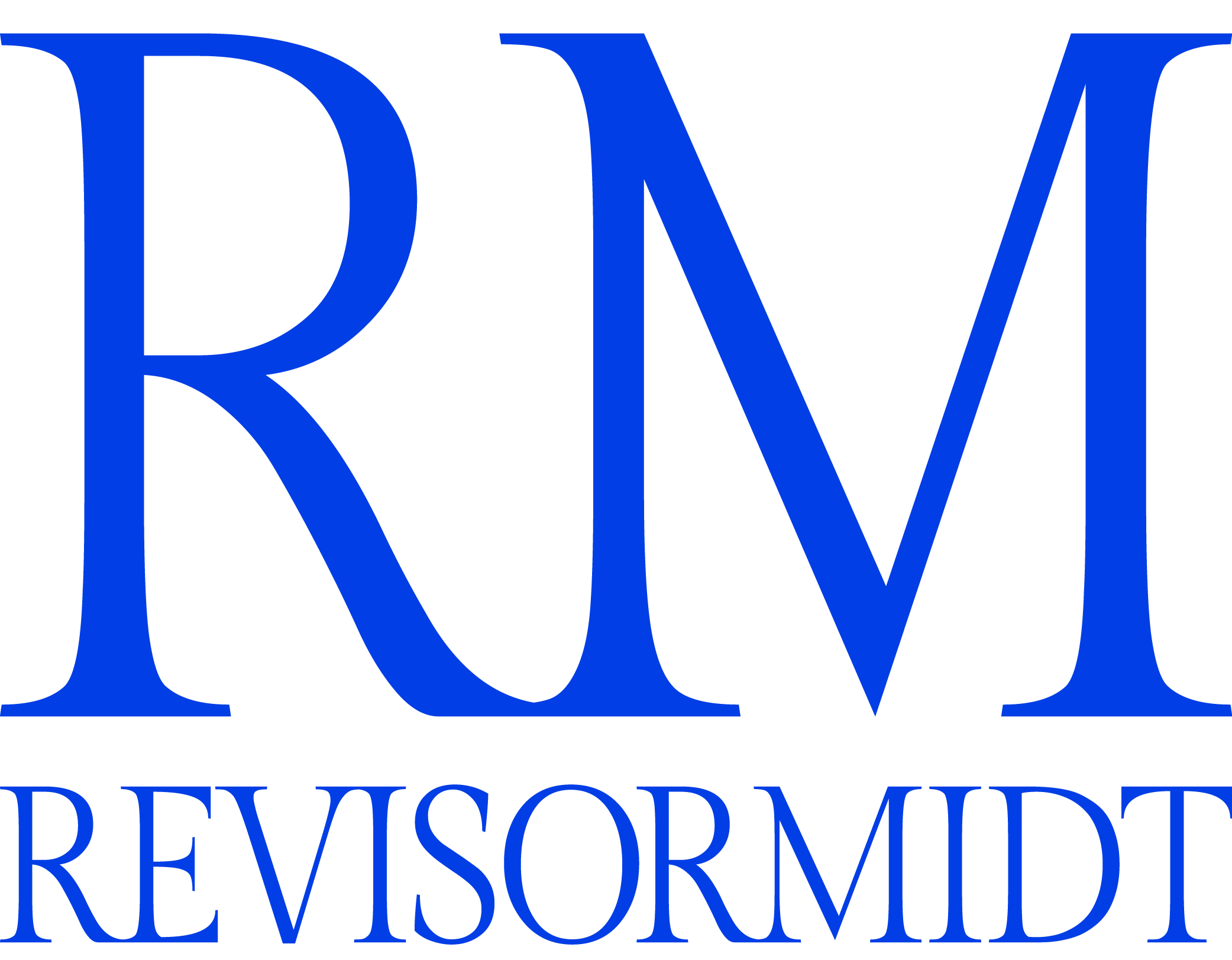 Reviser i Struer logo